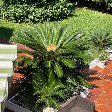 Inchingolo Contrada Fontanelle Ugento